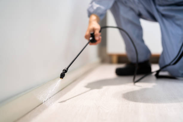 Licensed Mosquito Control service in Mission Canyon, CA - Show Me Pest Control