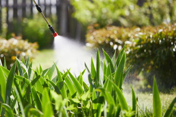 24/7 Emergency Mosquito Control experts in Mission Canyon, CA